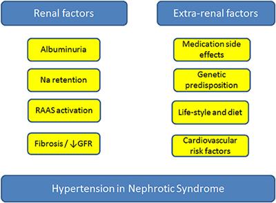 Hypertension in Childhood Nephrotic Syndrome